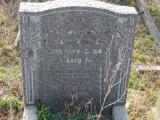image of grave number 295822